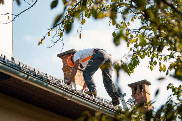 Best Chimney Flashing Repair  in Stony Prairie, OH